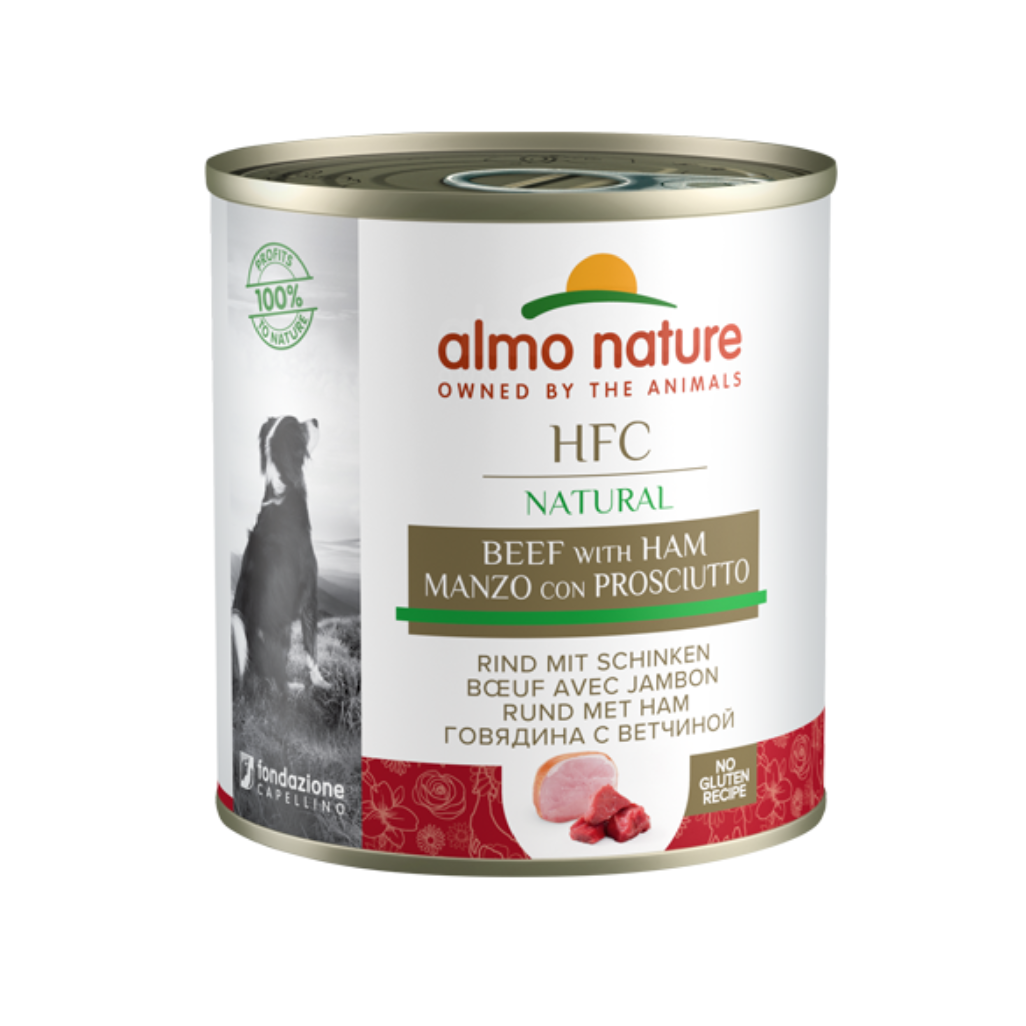 Almo Nature HFC Natural Beef & Ham 290g