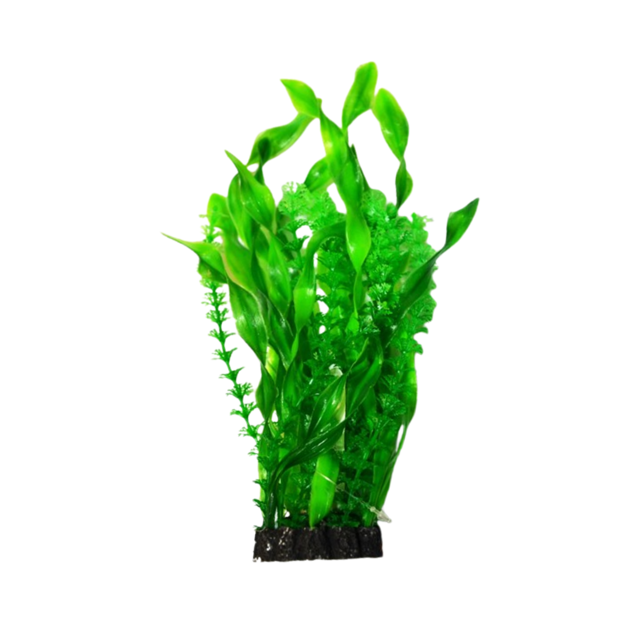 Aquael Tuft Plant CP-035 8 (20CM)