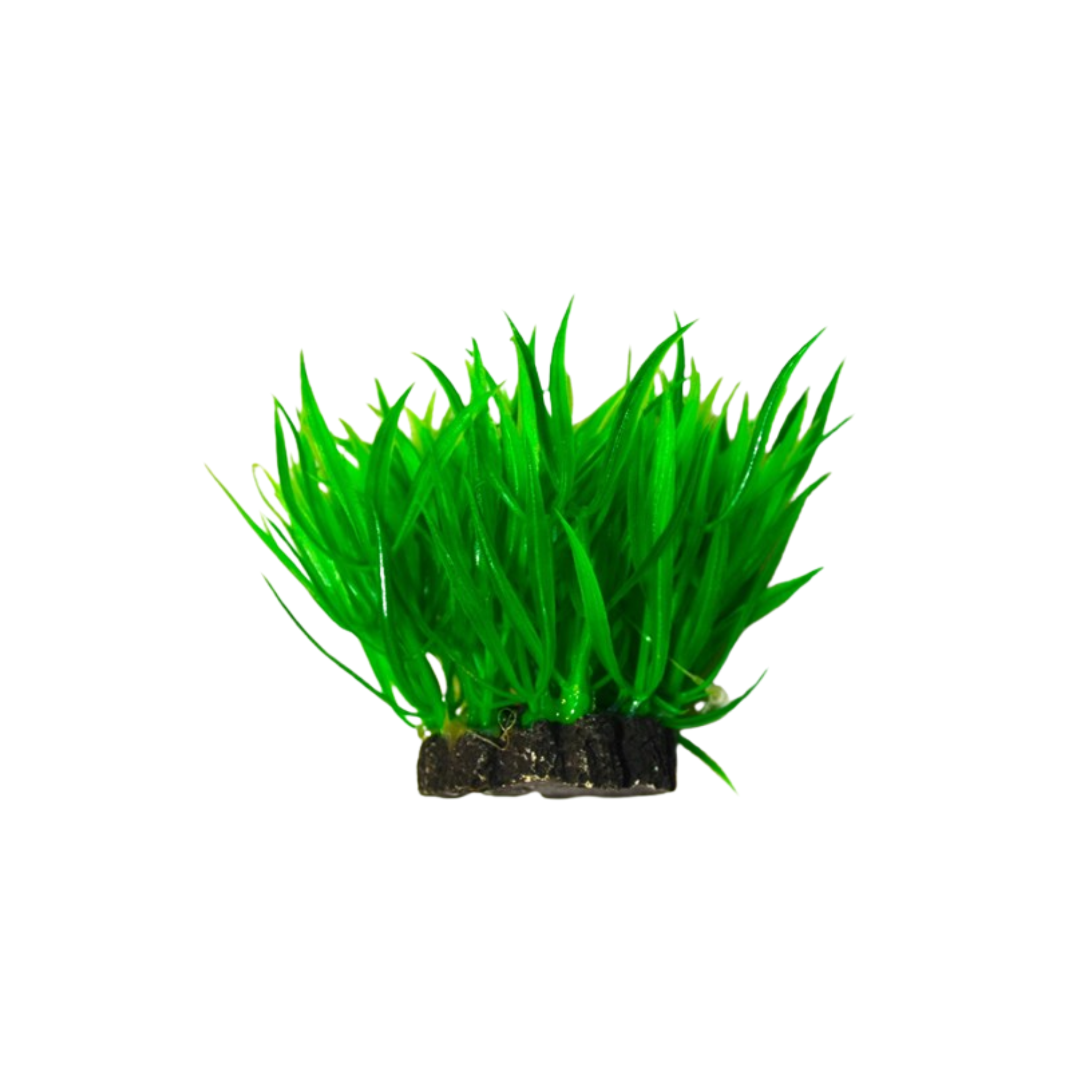 Aquael Tuft Plant PR-203 3 (7CM)