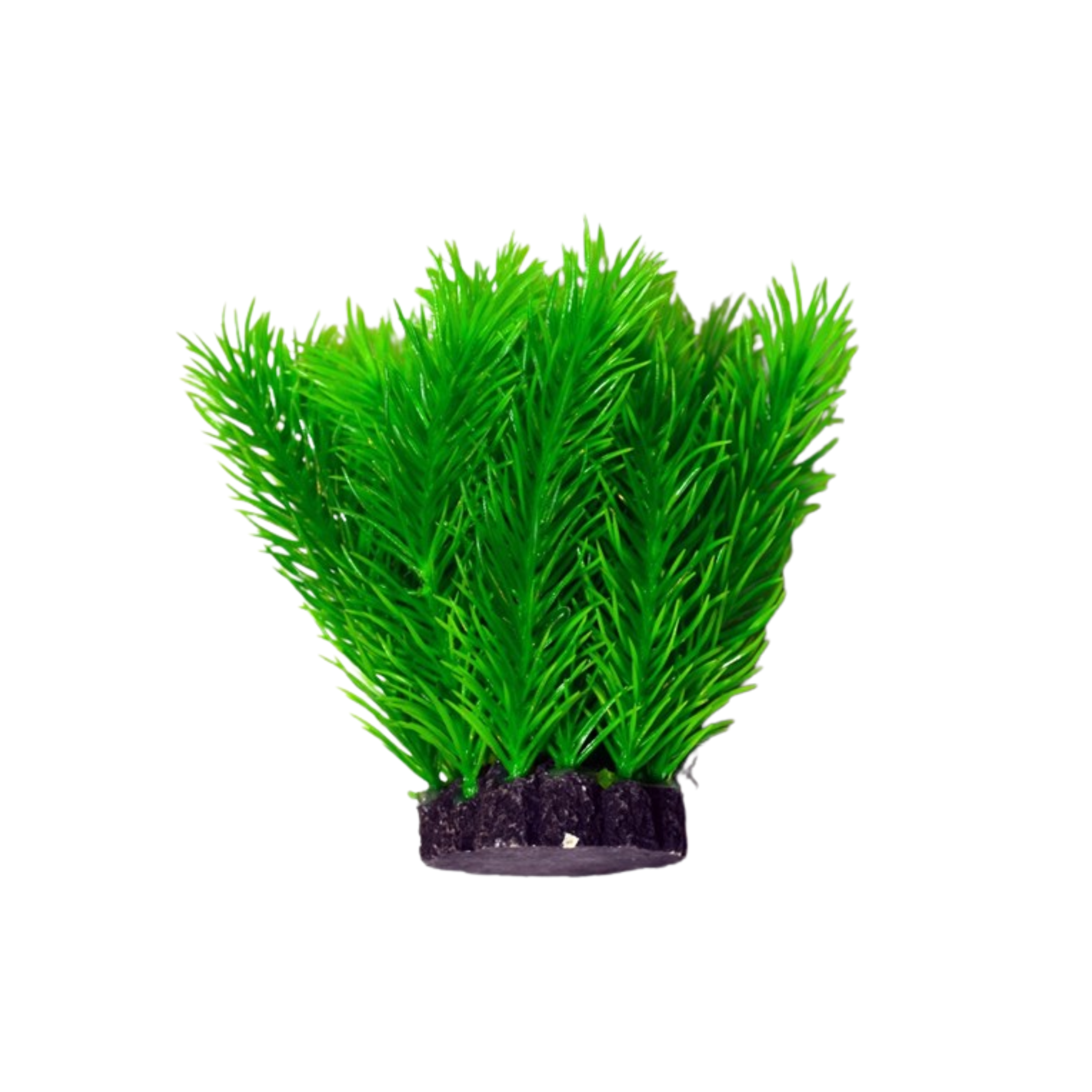 Aquael Tuft Plant PR-402 4 (10CM)
