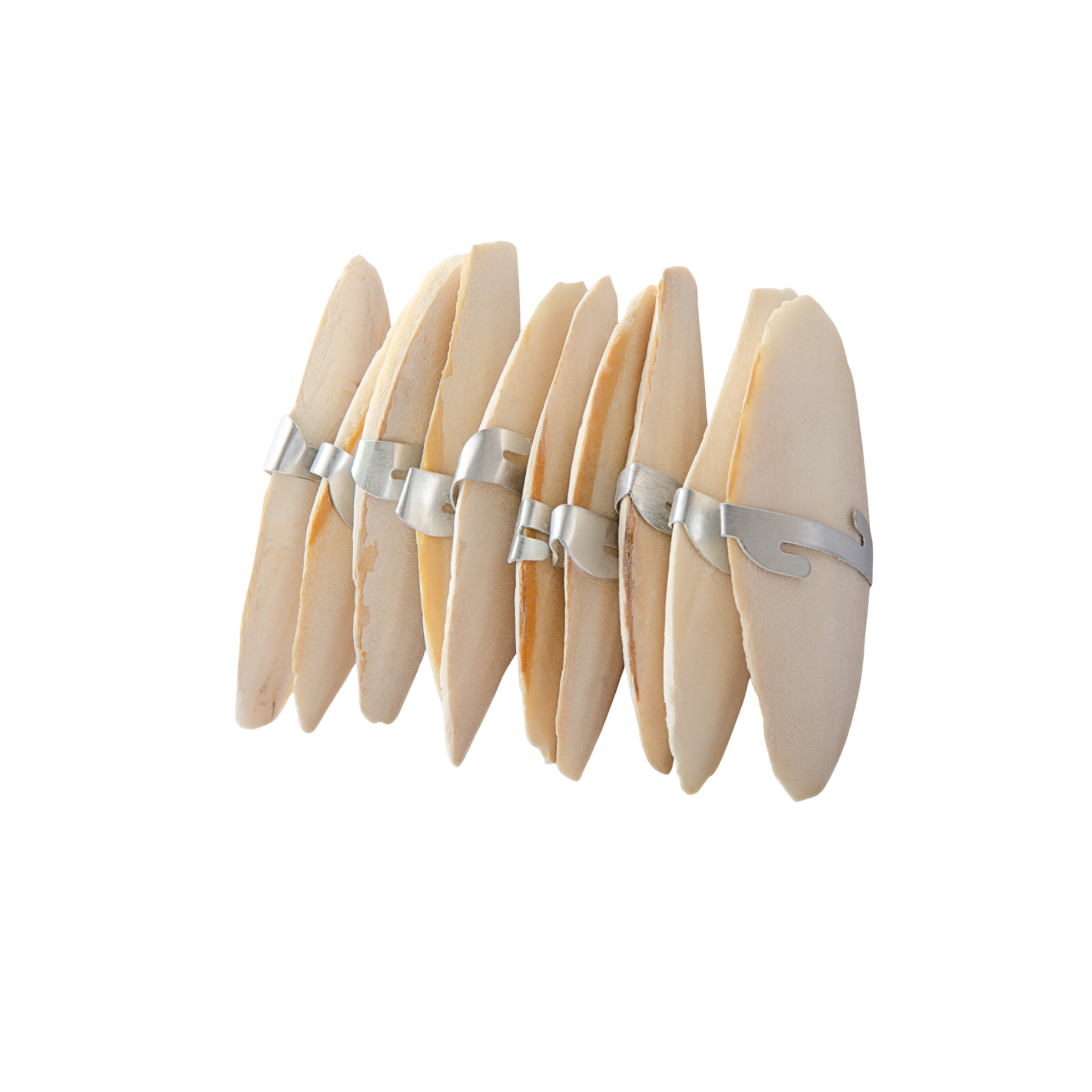 JK Animals Cuttlefish Bone