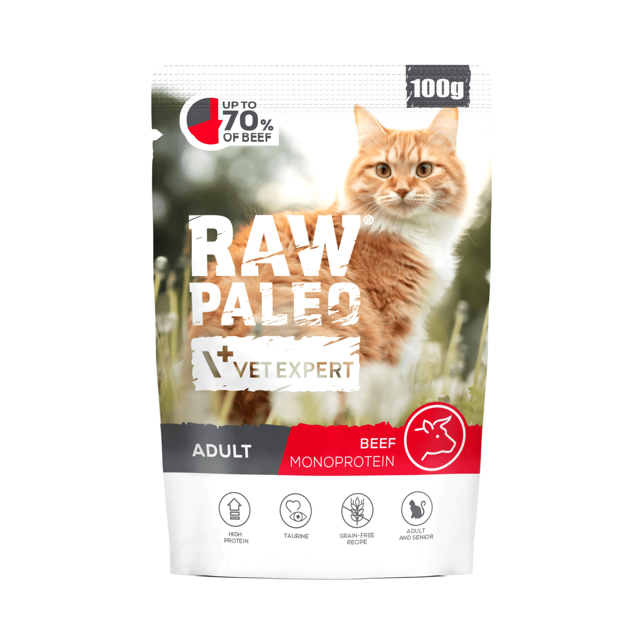 Raw Paleo Adult Cat Beef Wet