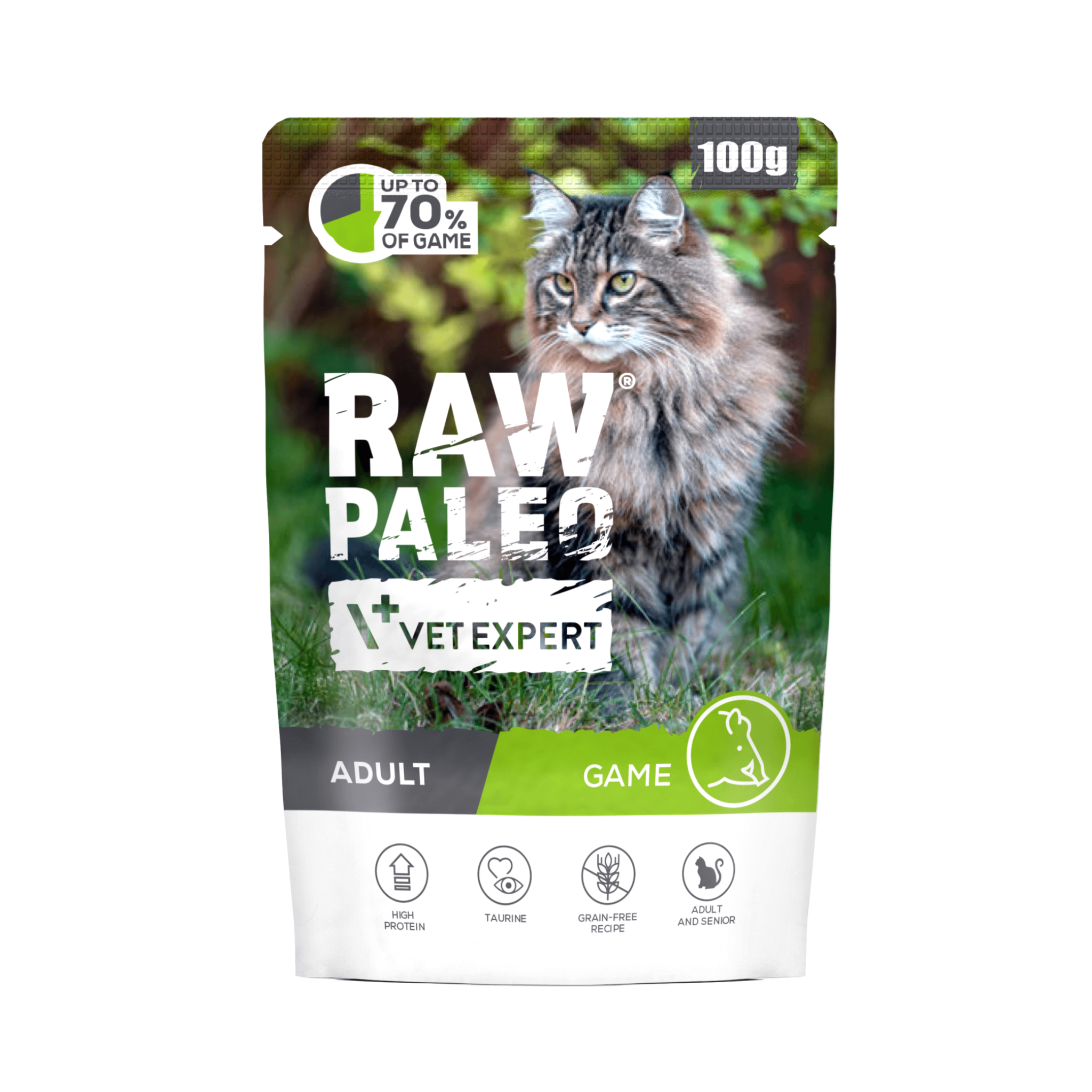 Raw Paleo Adult Cat Game Wet
