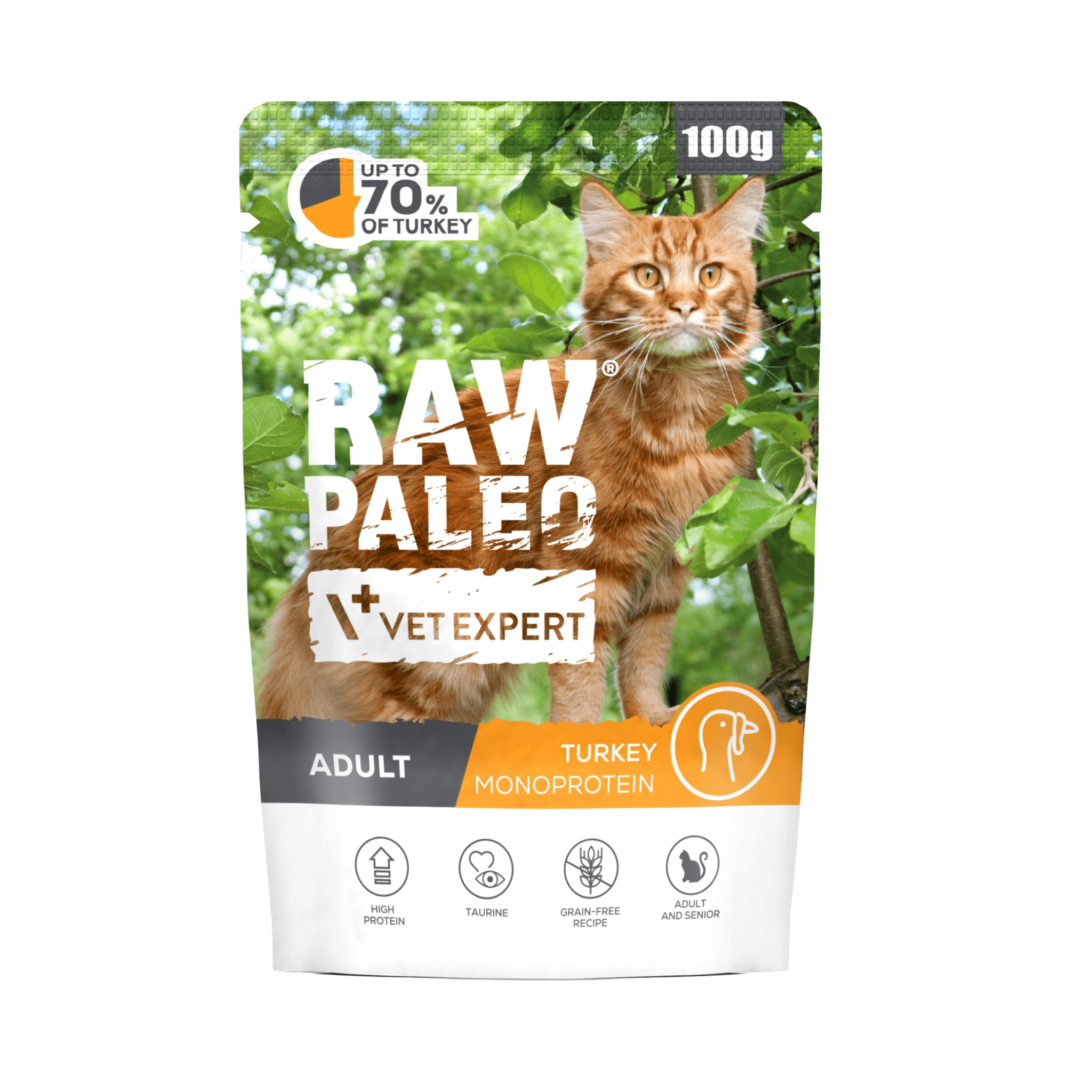Raw Paleo Adult Cat Turkey Wet