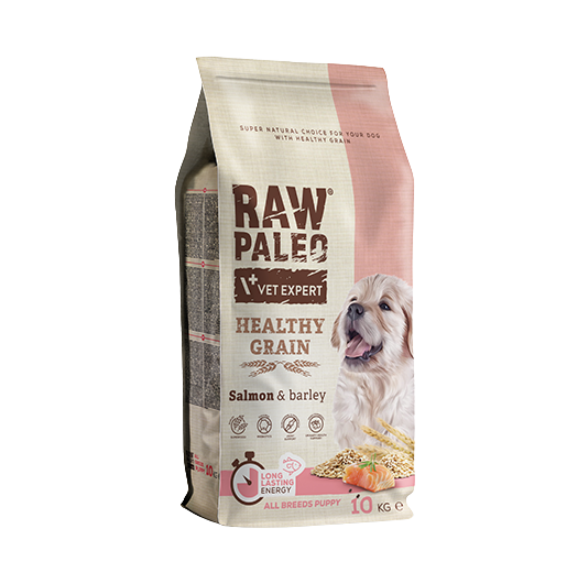 Raw Paleo Healthy Grain Puppy Salmon & Barley