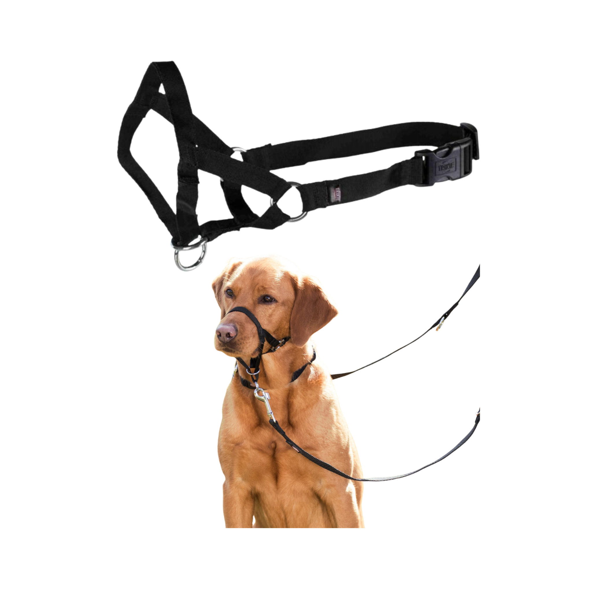 Trixie Top Trainer Training Harness
