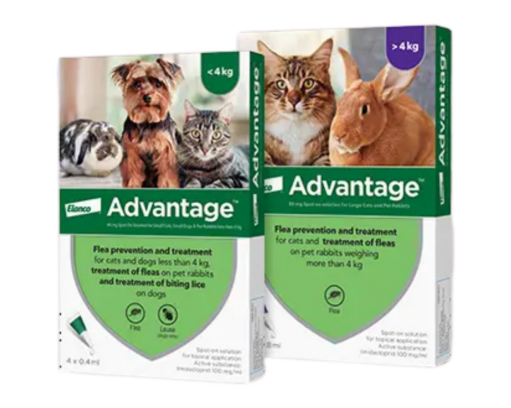 Bayer Advantage for Rodents & Cats