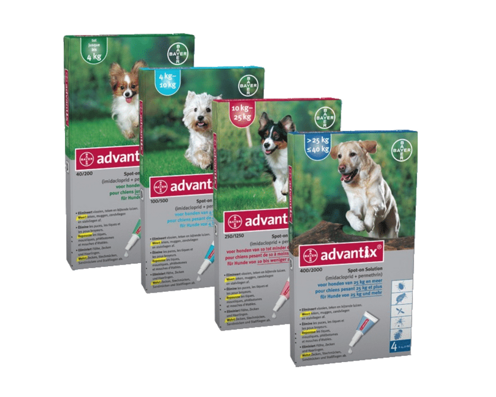 Bayer Advantix for Dogs