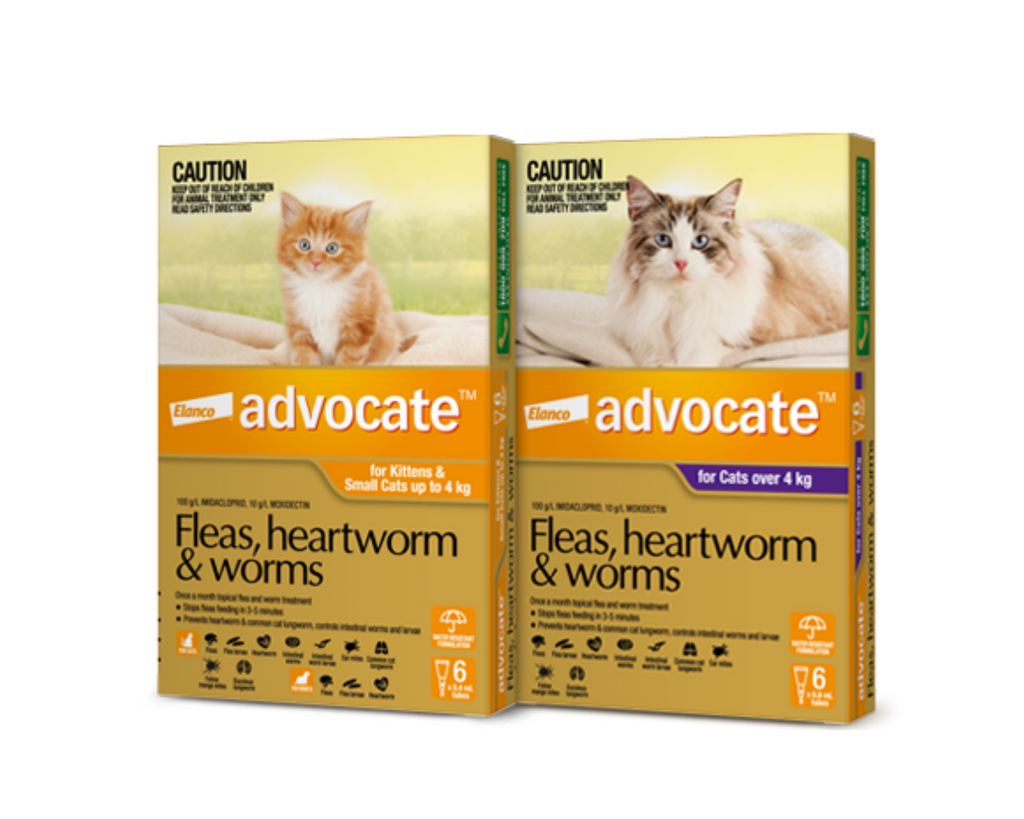 Bayer Advocate Spot On Solution for Cats