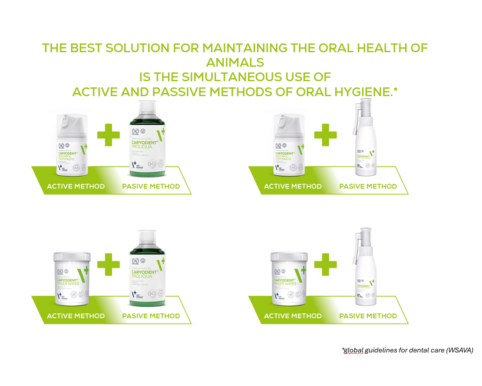 Vet Expert Caryodent Proliqua 250ml