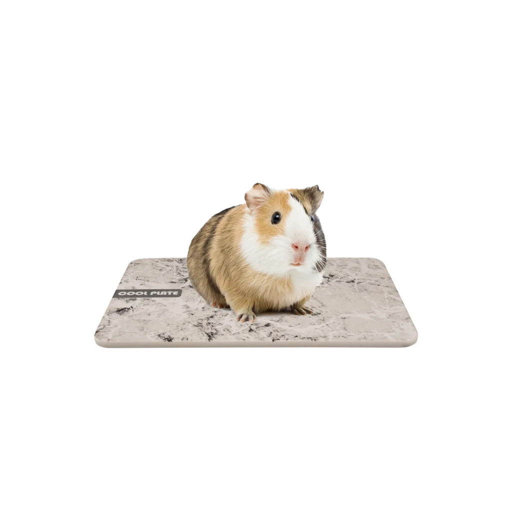 Flamingo Cooling Plate for rodents