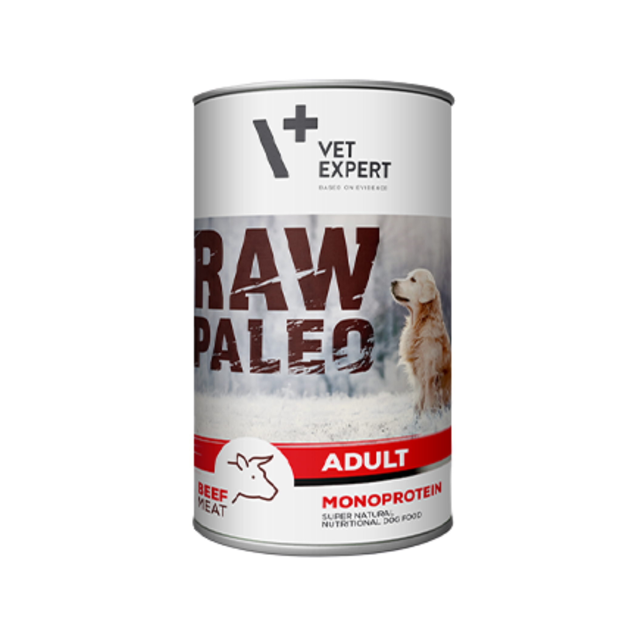 Raw Paleo Monoprotein Adult Beef Can