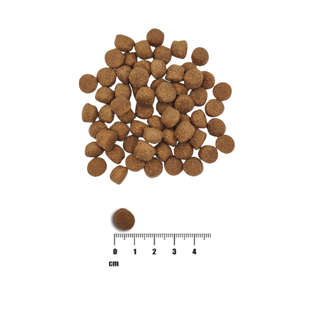 Raw Paleo Healthy Grain Puppy Salmon & Barley